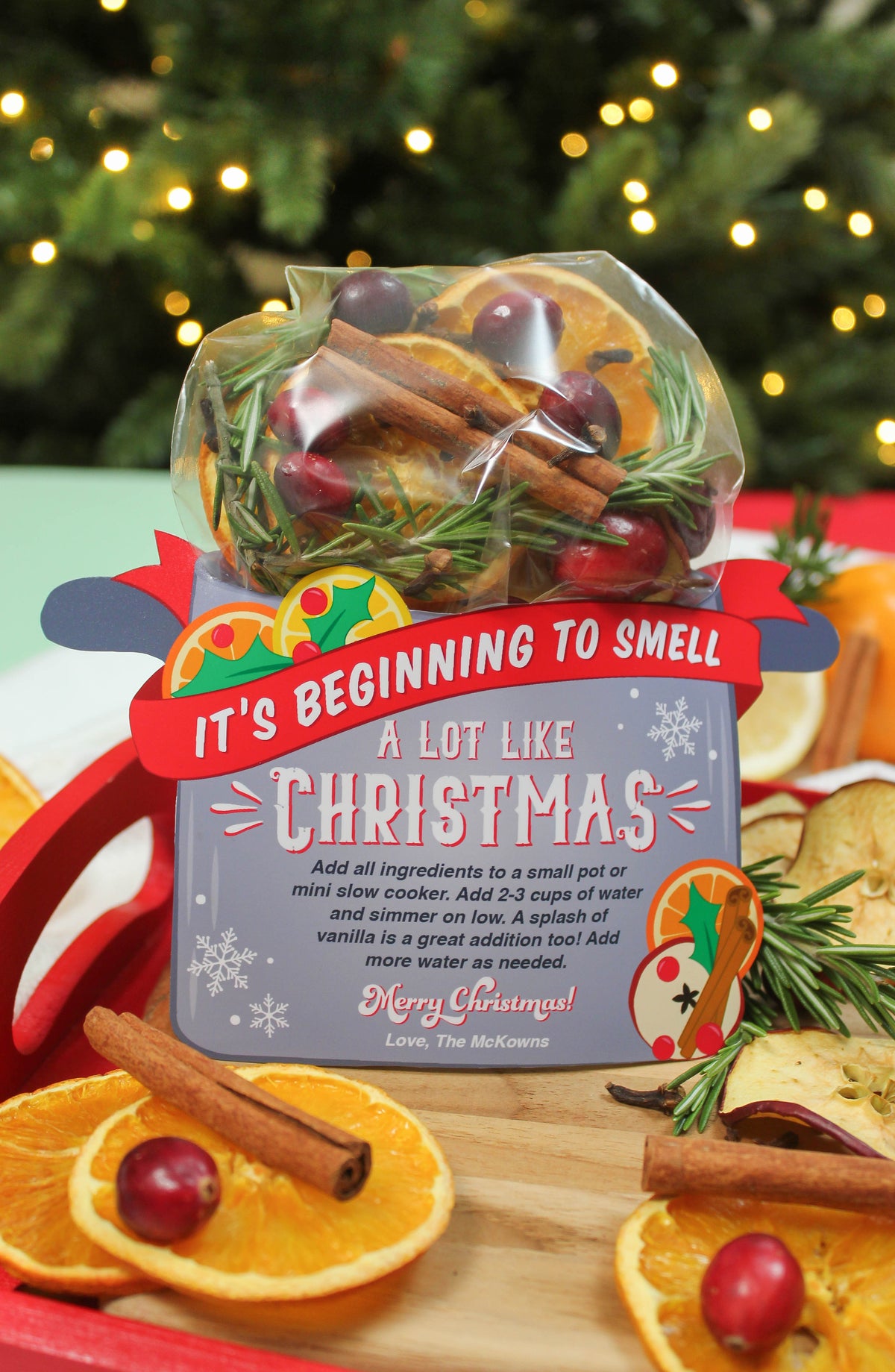 Stovetop Potpourri Christmas Gift