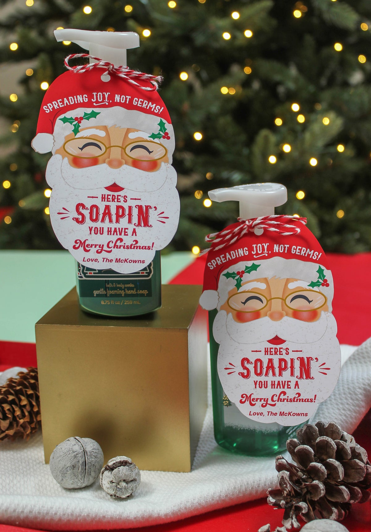 Santa Hand Soap Gift