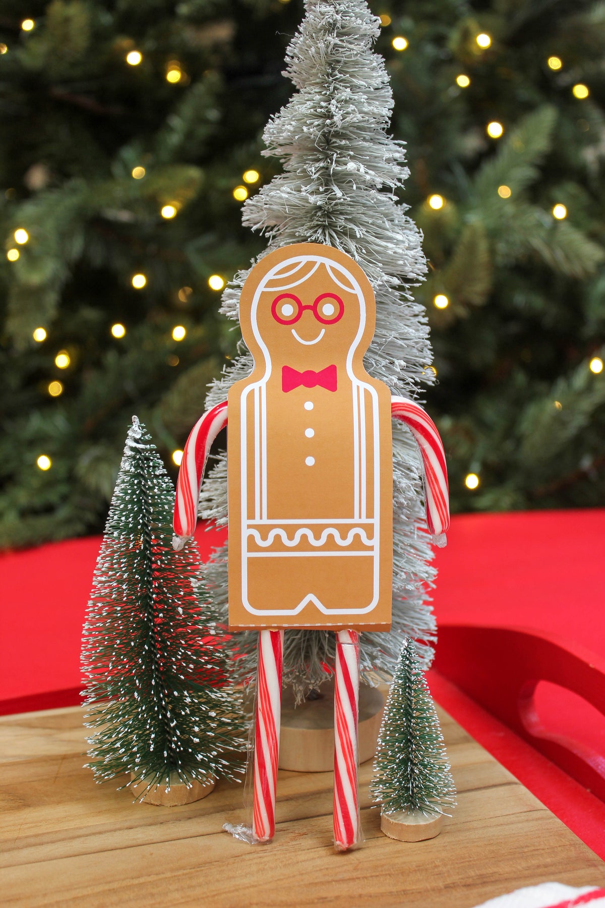 Gingerbread Boy and Girl Candy Cane Treats