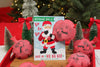 Santa’s Sack Whoopee Cushion Christmas Gift