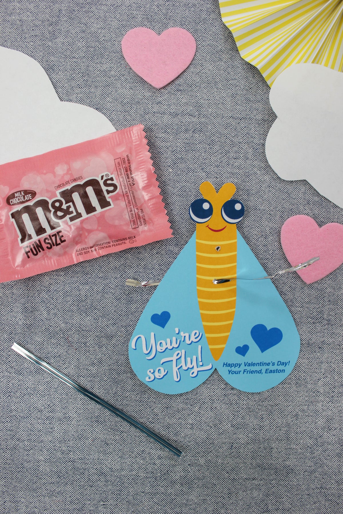 “You’re so Fly” Bugs Kids Valentine