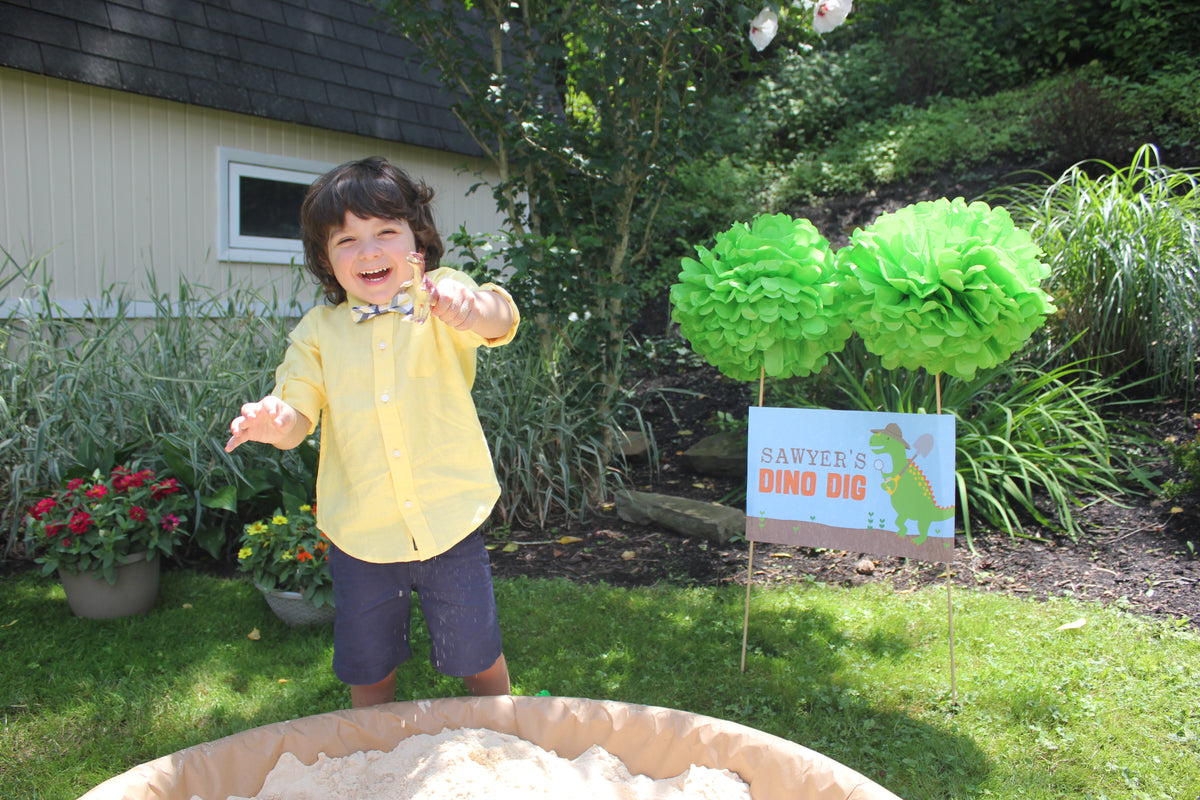 Dinosaur Party Welcome Signs and Dino Dig Sign