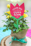 Grow and Bloom Flower Teacher Gift