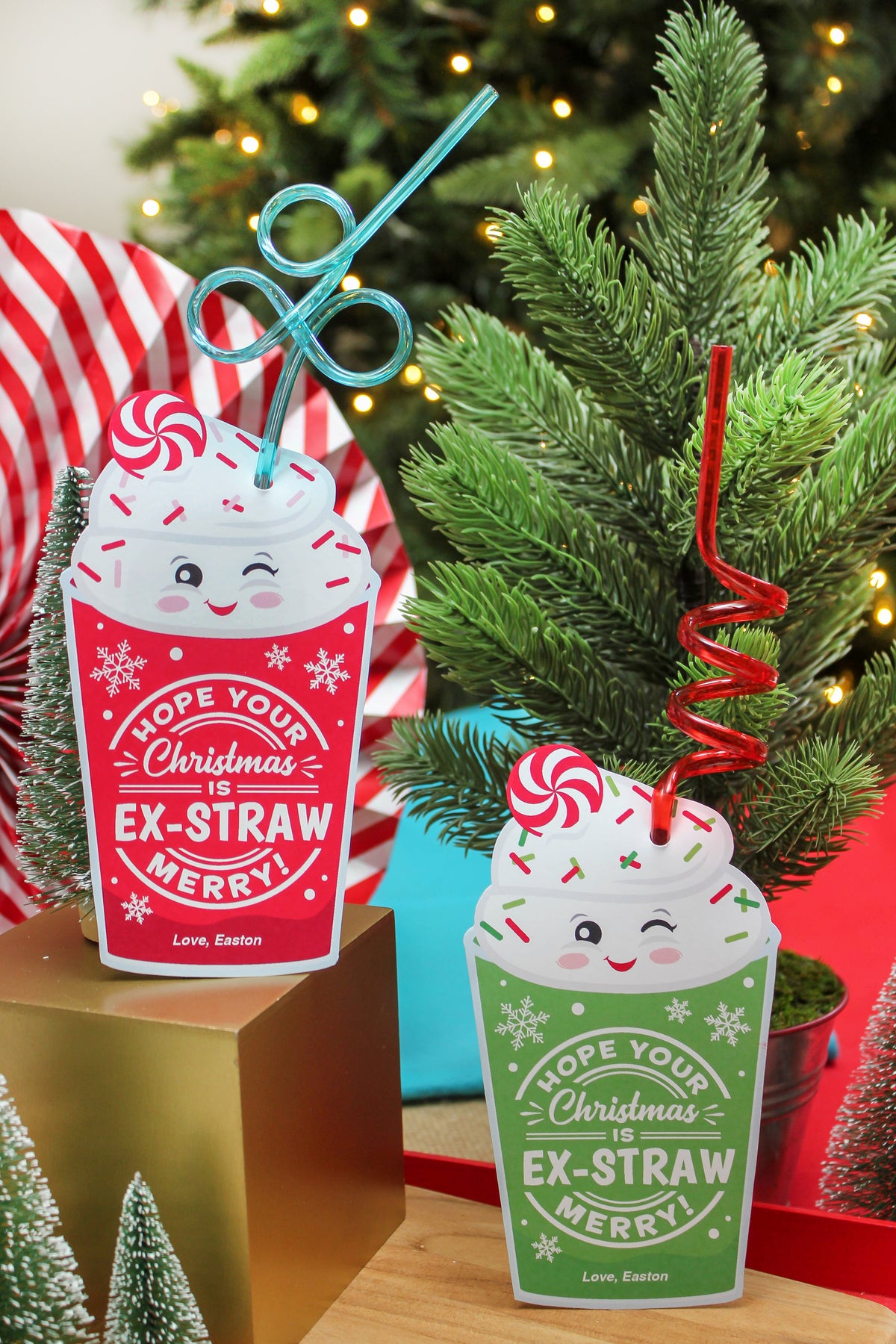 Crazy Straw Christmas Gift