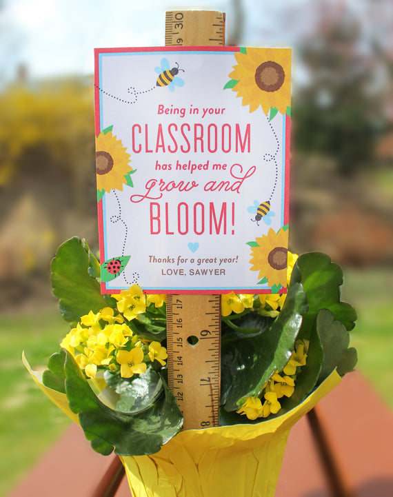 “Bloom in your Classroom” Teacher Gift