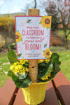 “Bloom in your Classroom” Teacher Gift