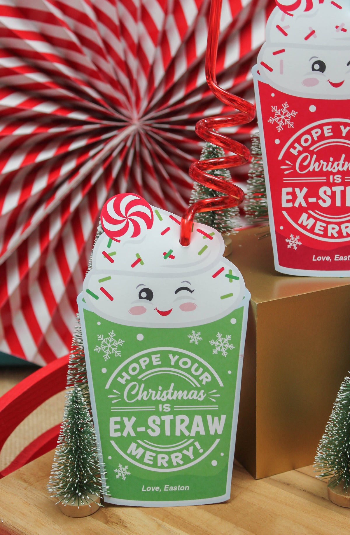 Crazy Straw Christmas Gift