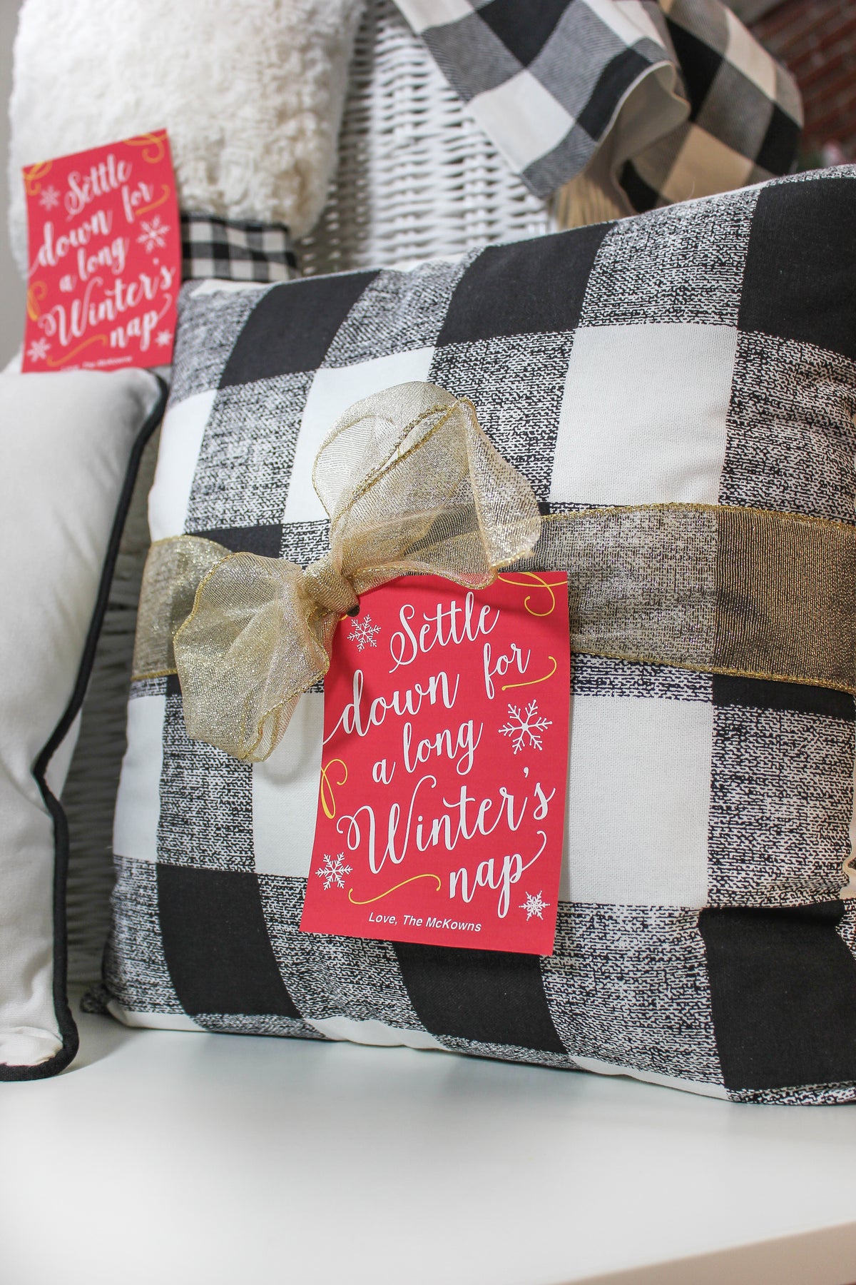 Blanket and Throw Pillow Gift