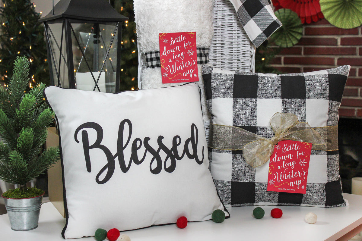 Blanket and Throw Pillow Gift