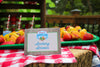 Summer Camp Birthday Party Table Decorations