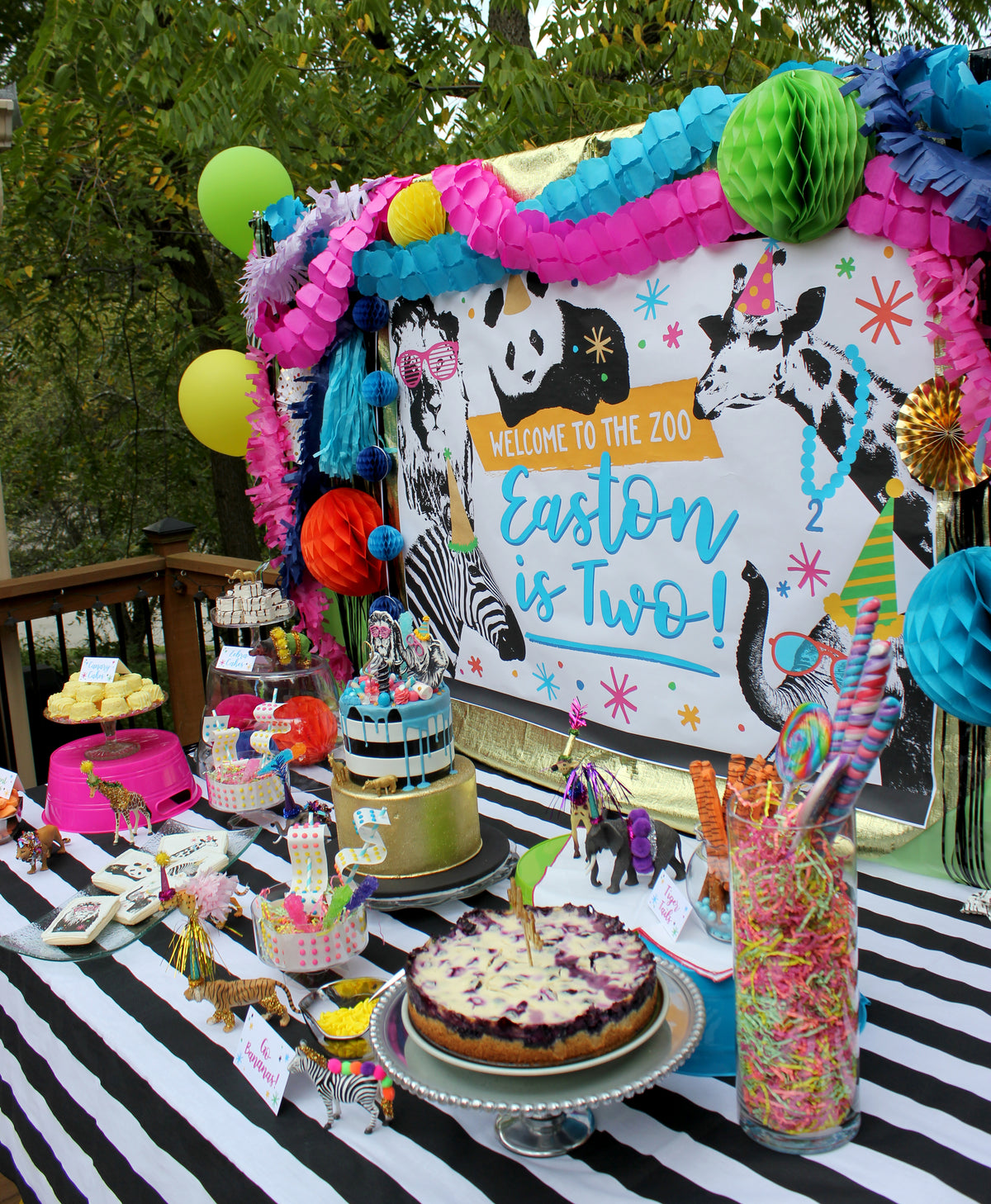 Party Animal Zoo Birthday Backdrop Sign