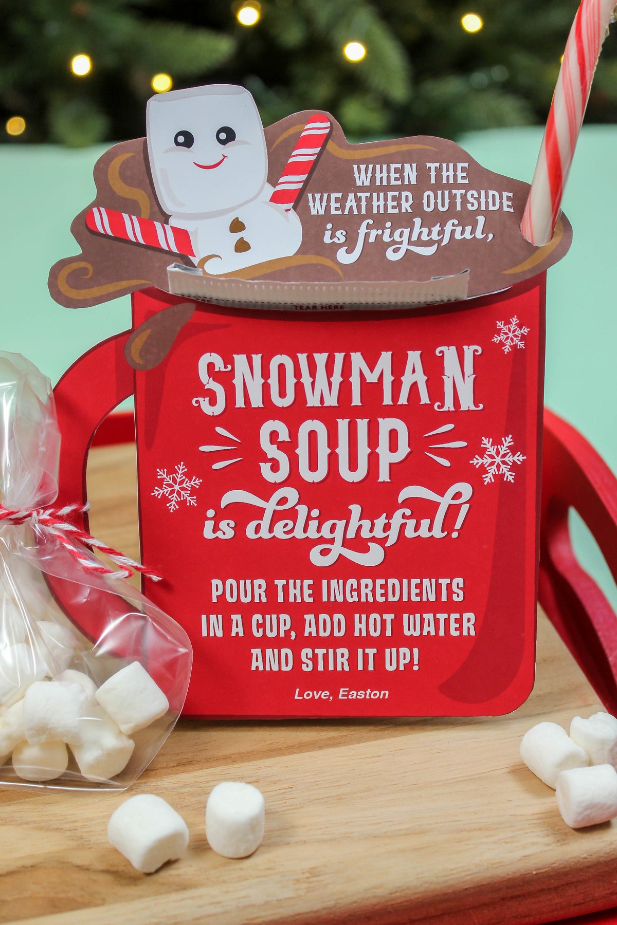 Snowman Soup Hot Cocoa Gift