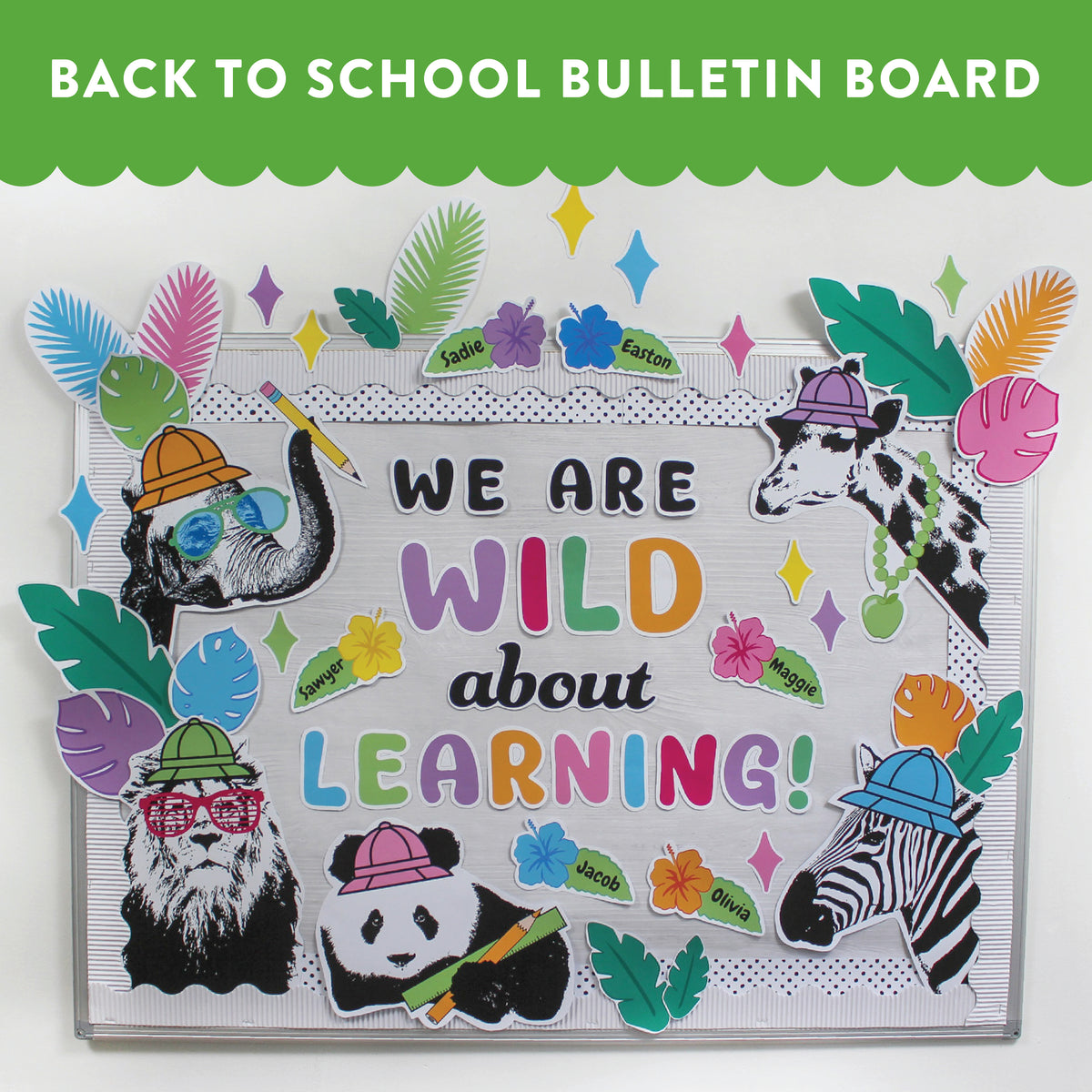 "Wild About Learning" Bulletin Board