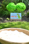 Dinosaur Party Welcome Signs and Dino Dig Sign